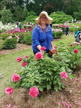 Load image into Gallery viewer, Peony Workshop