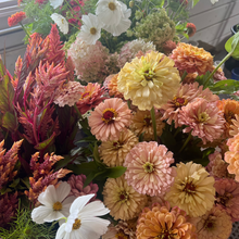 Load image into Gallery viewer, Cut Flower Garden Kit