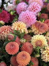 Load image into Gallery viewer, Dig, Divide, & Store - Dahlia Workshop