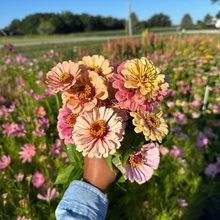 Load image into Gallery viewer, Cut Flower Garden Kit