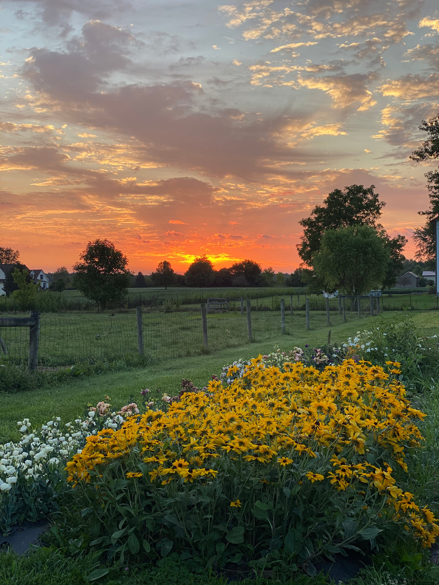 U-Pick Flowers – Ruby Moon Floral