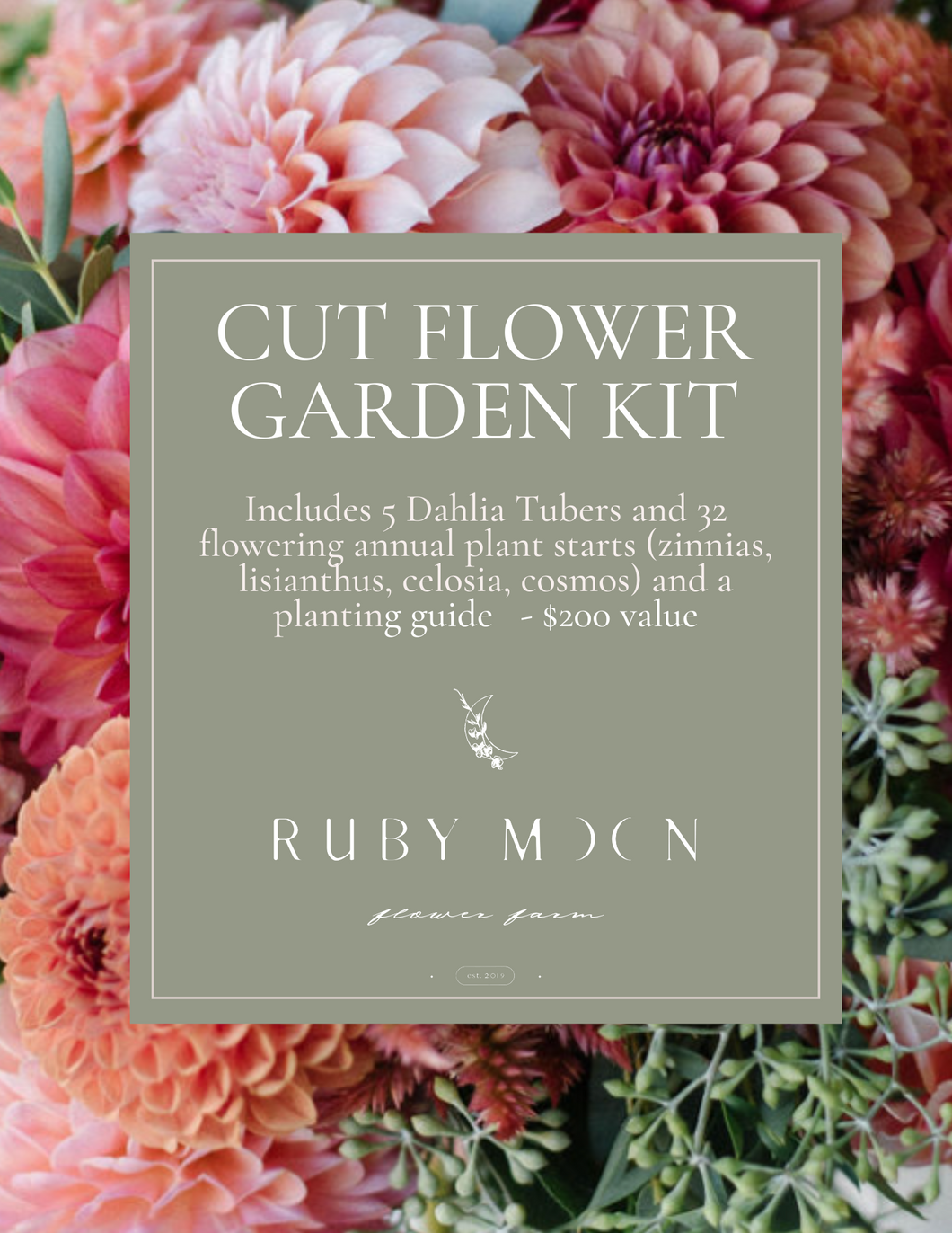 Cut Flower Garden Kit