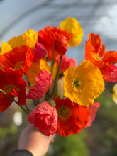 Load image into Gallery viewer, "Blooming into Summer" Subscription
