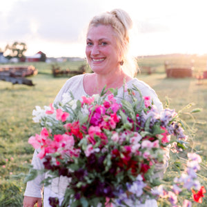 Sweet Pea 'Ruby Moon Farm Mix'